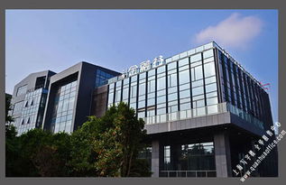 上海金融谷 外包經濟之園，金融產業之谷
